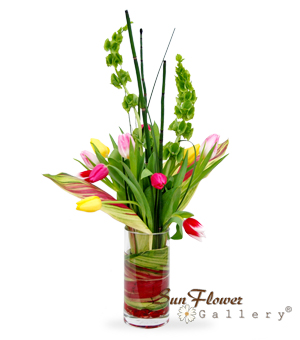 loveli tulips