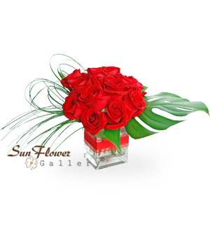 My Love To You