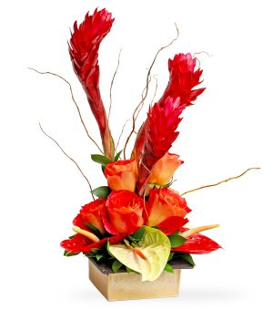 Paradise For You by Select Florists in Elmhurst, Il