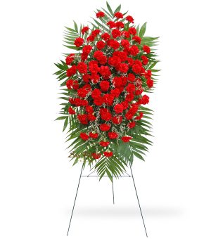 100 Red Carnation Easel Spray Delux