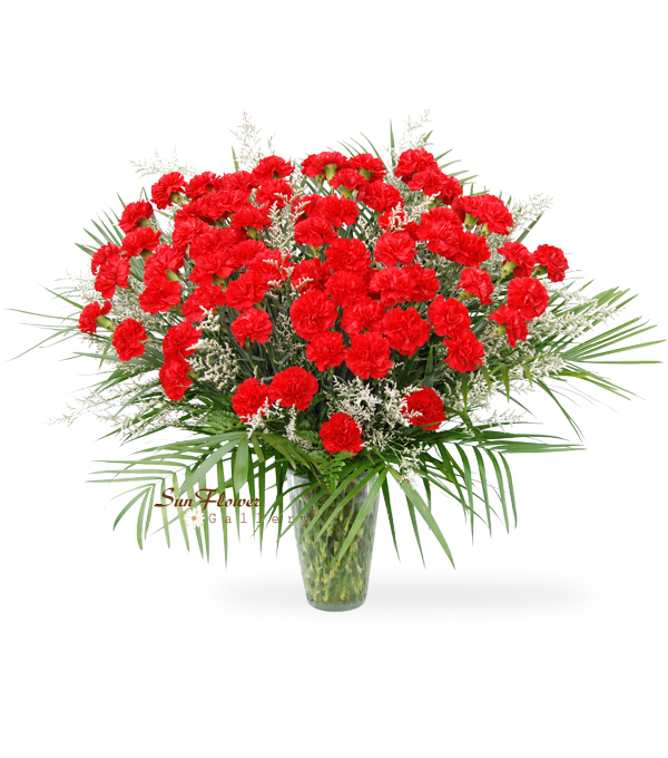 75 Red Carnation Vase Deluxe