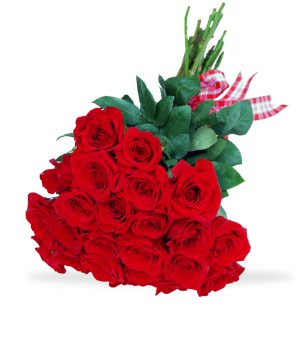 Bright Red Love